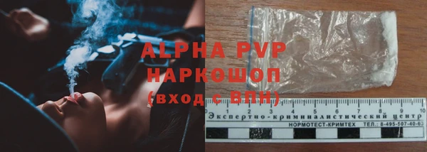 мет Ладушкин