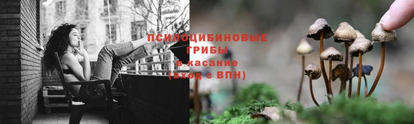 стафф Лабытнанги